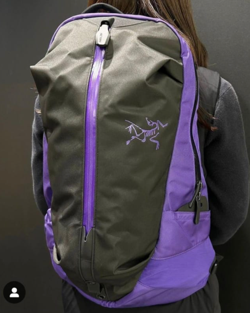 日本直送 Arcteryx Arro 22 Backpack
