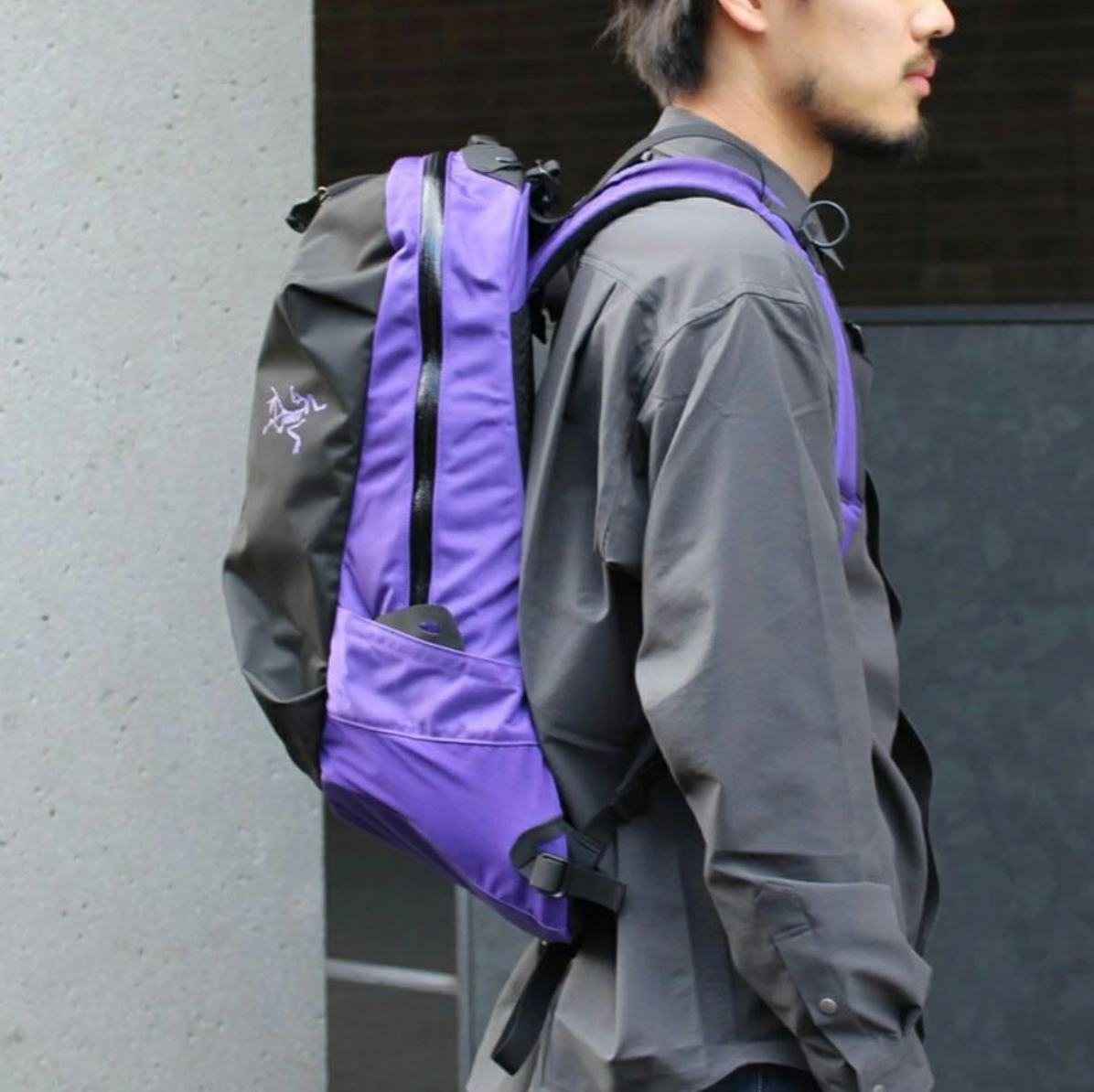 日本直送 Arcteryx Arro 22 Backpack